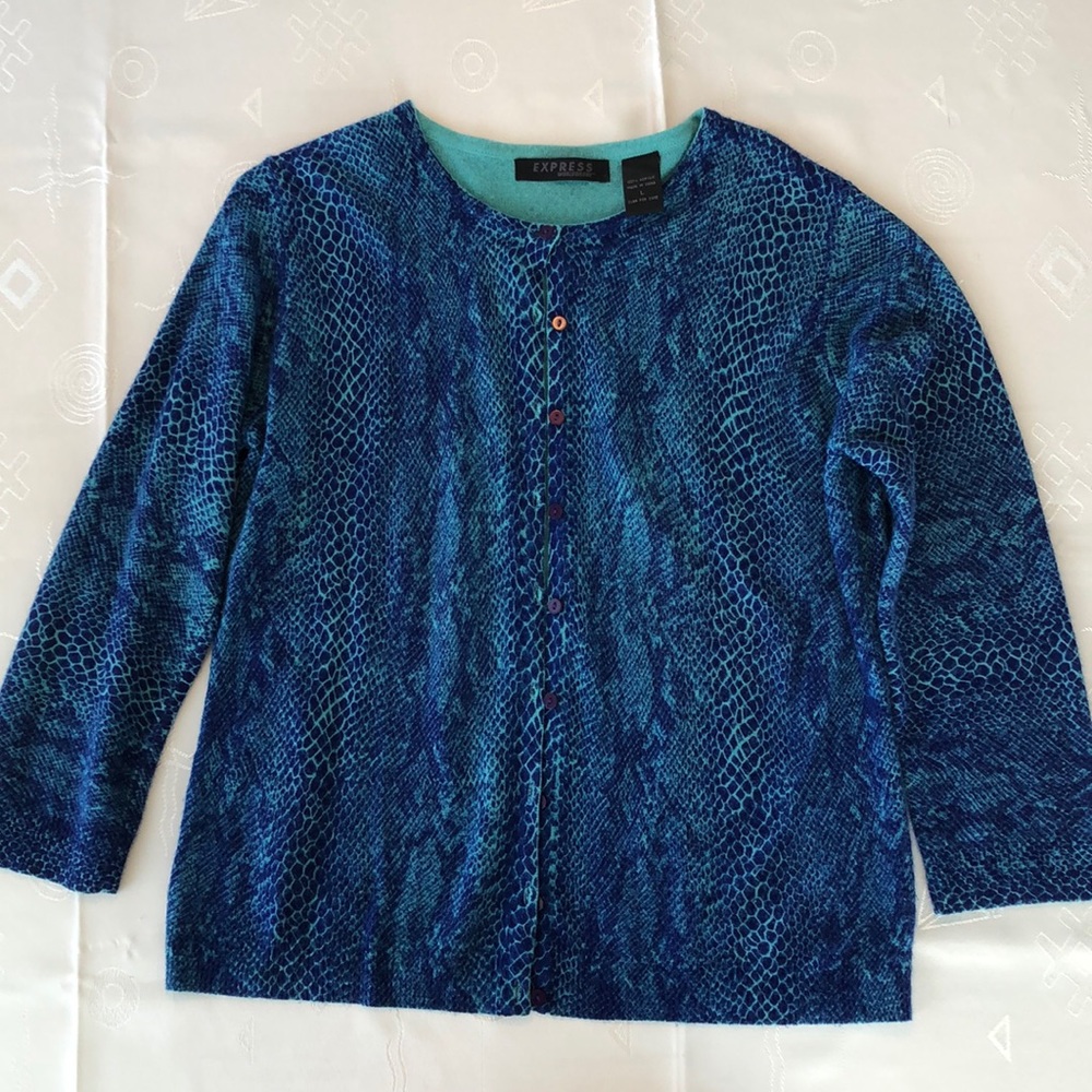 EXPRESS size L cute blue teal snake light sweater